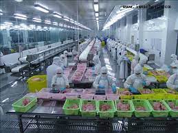 食品加工廠新工廠規(guī)劃的要點有哪些？