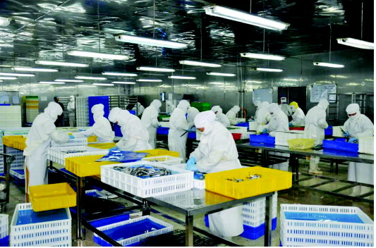 食品加工廠新工廠規(guī)劃方案該怎么寫？